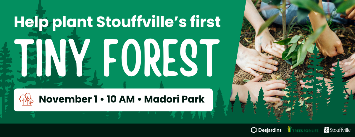 Tiny Forest Planting Event with Desjardins and the Town of Stouffville